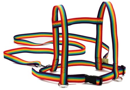 Spielzügel Spielzügel